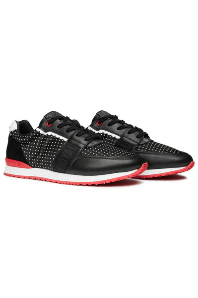 シューズ(女性用)  ALBARTROSS golf GEOMETRY Black UK4 ROYAL ALBARTROSS golf GEOMETRY Black UK4